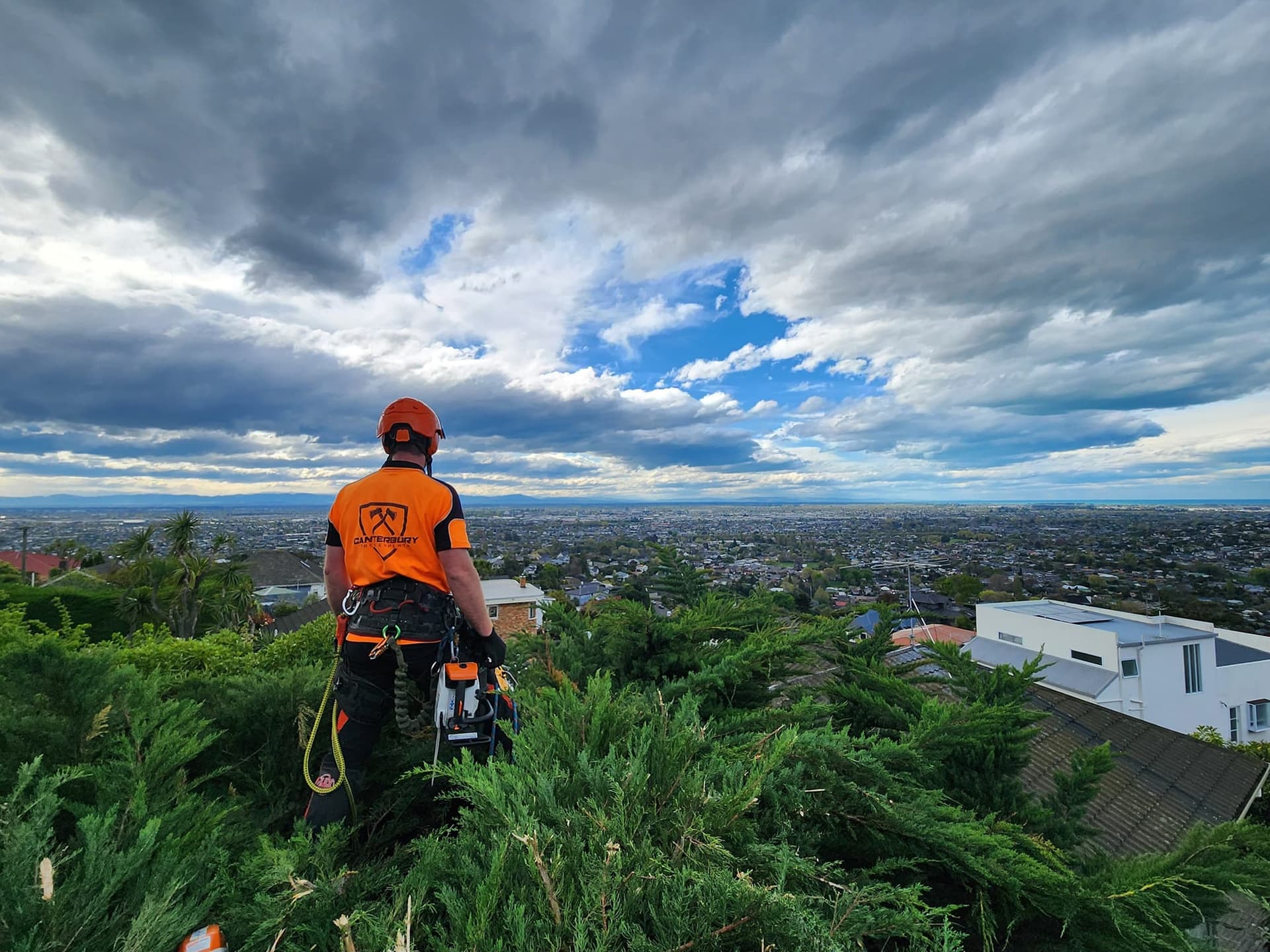 Canterbury Tree Experts — Arborists in Christchurch