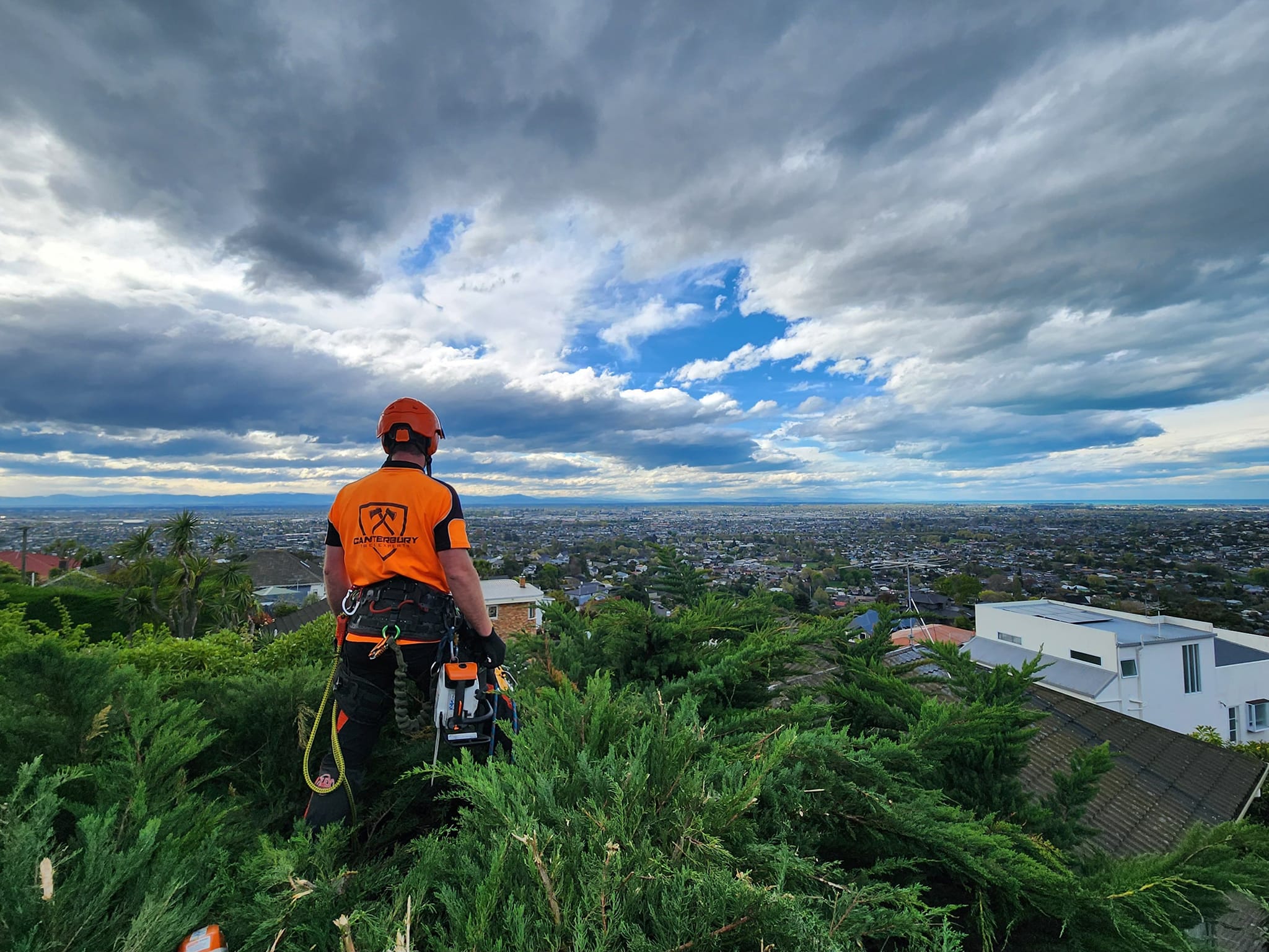 Canterbury Tree Experts — Arborists in Christchurch