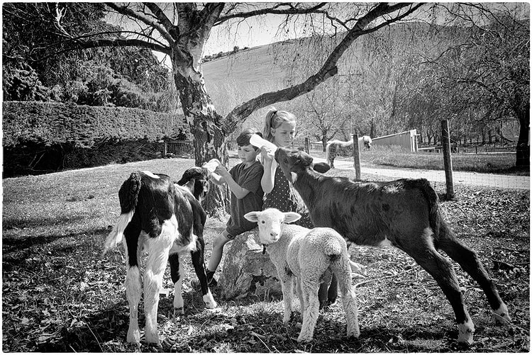 Shotz Photography — Photographers in Dunedin