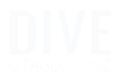 Dive Otago Ltd