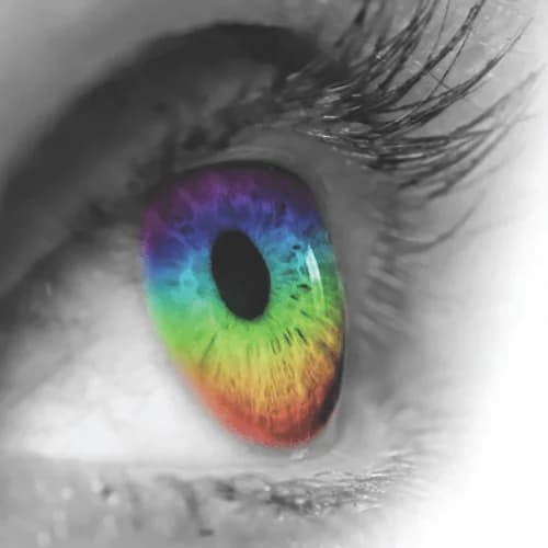 Botany Junction Optometrist