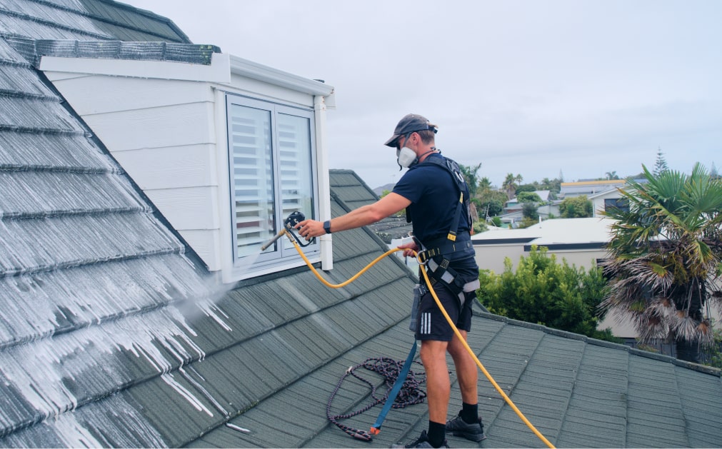 Swish Property Services — Cleaning Services in Tauranga