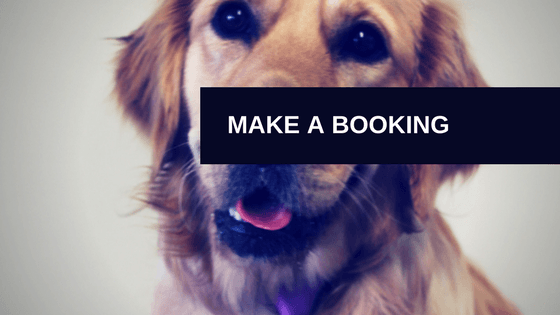 Complete Canine Care’s Rural Retreat — Dog Groomers in Kaukapakapa