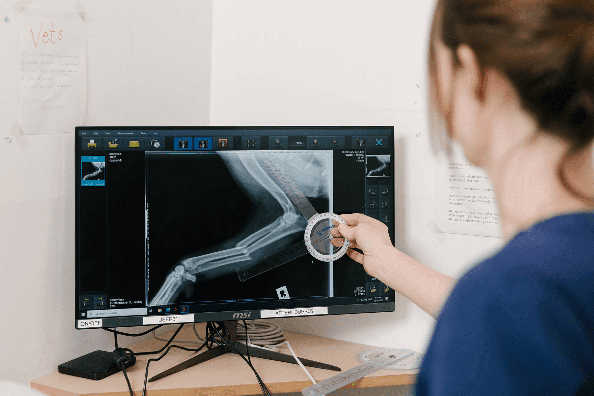 VetSouth — Vets in Invercargill