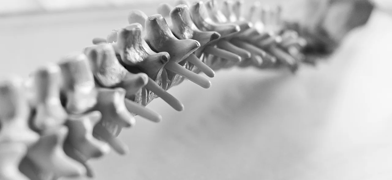 Solstice Chiropractic