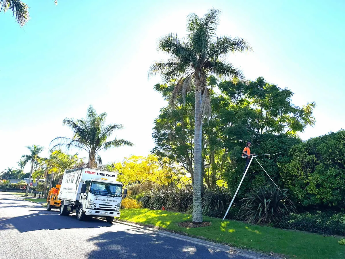 Northland Treeworks — Landscaping Services in Bay of Islands