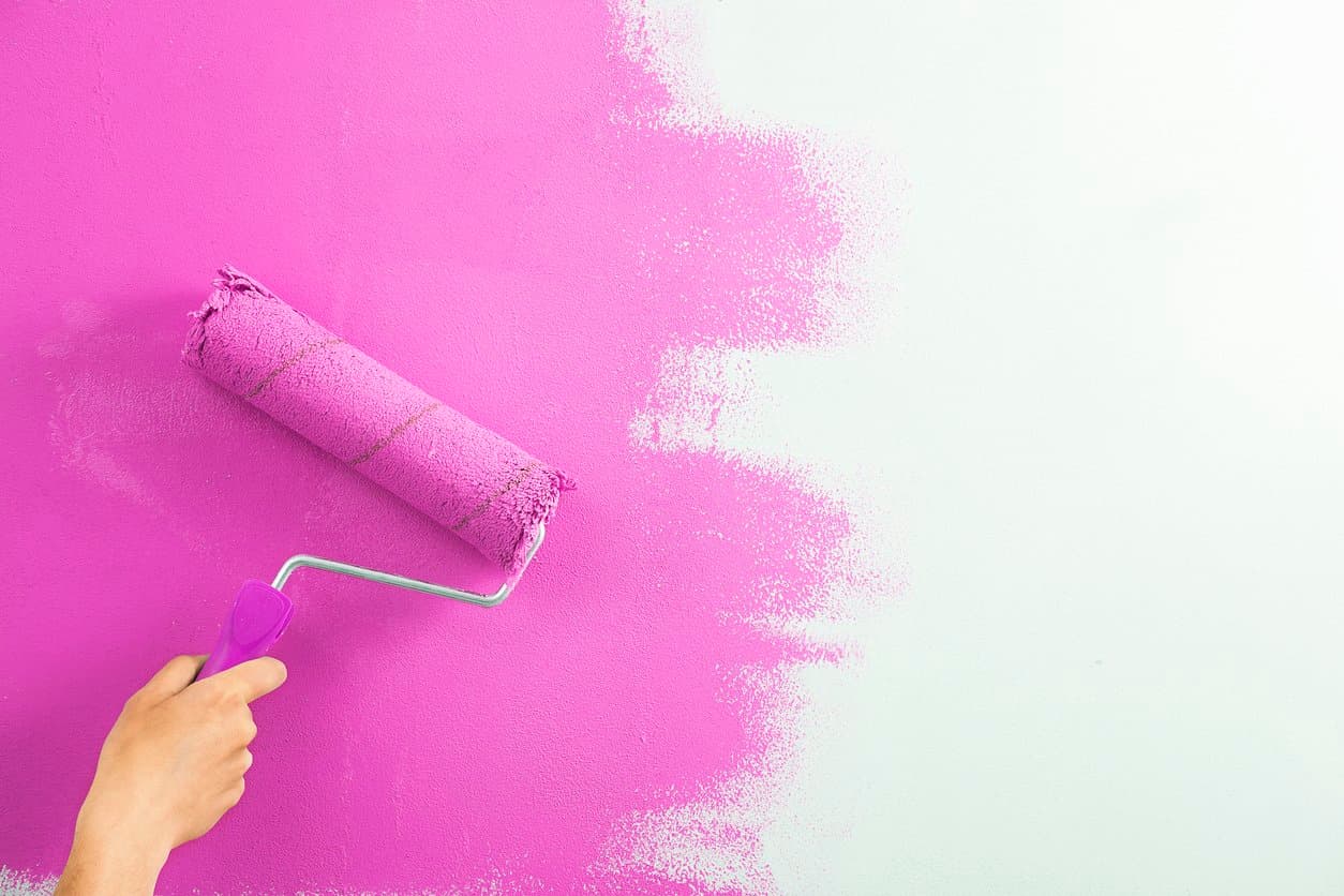 Scammell Paint & Decorating — Painters in Ashburton