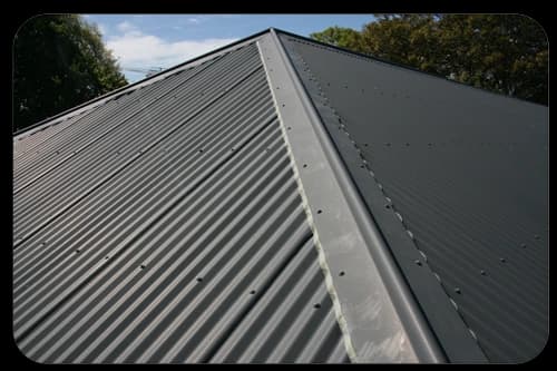 The Roofer (Adrian Simmons) — Roofing Services in Christchurch