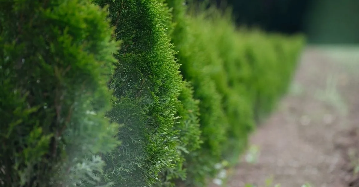 Fresh Start — Property Maintenance Services in Christchurch