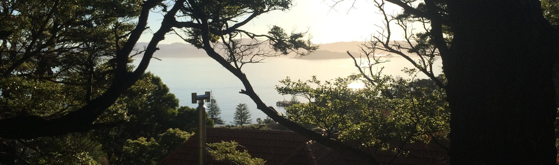 Arb Innovations — Arborists in Porirua