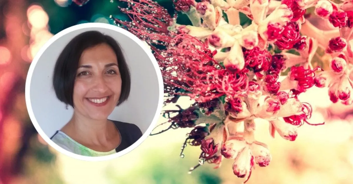 Lymph Therapy — Massage Therapists in Pukekohe