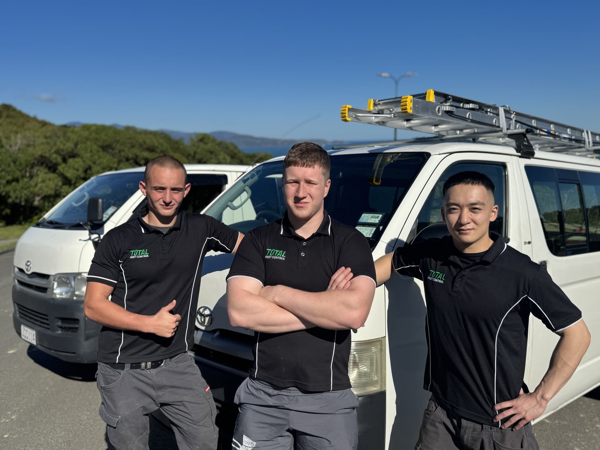 Total Pest Control — Pest Control Services in Wellington