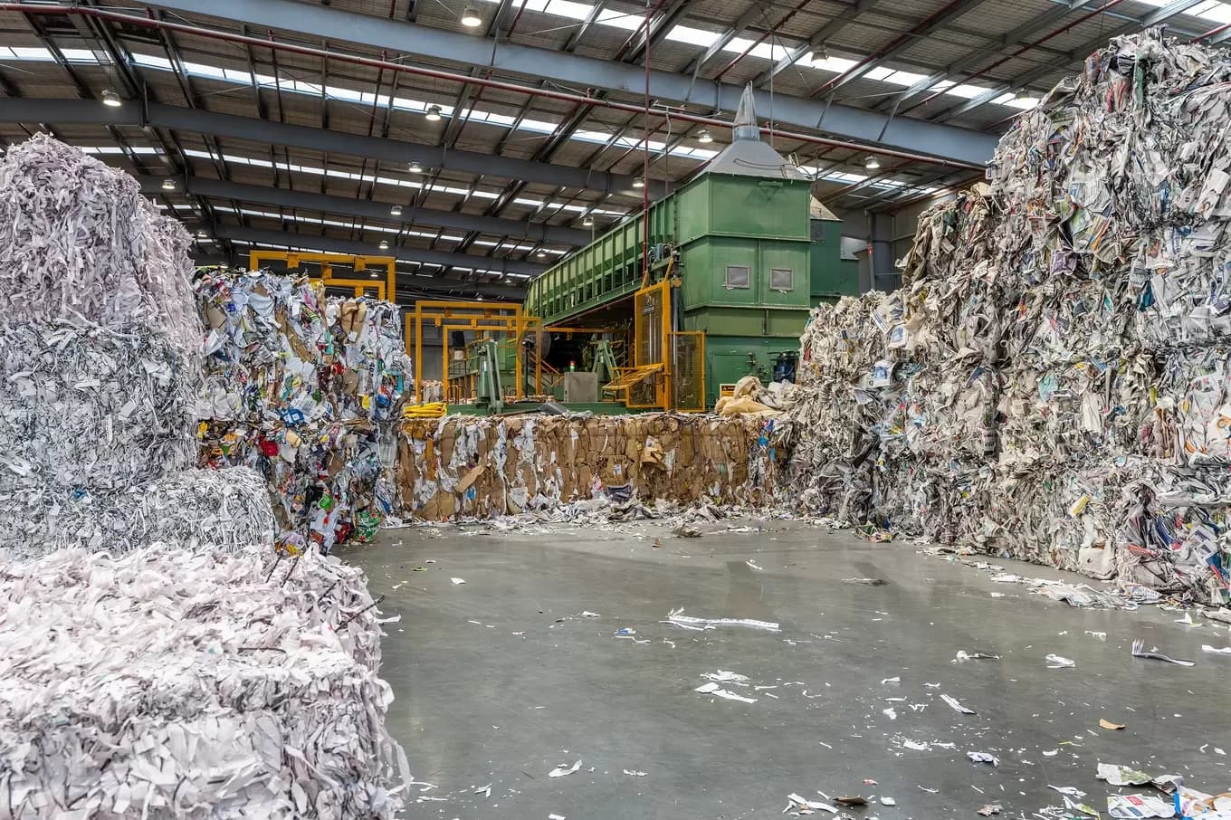 Reclaim Recycling — Waste Management in Christchurch