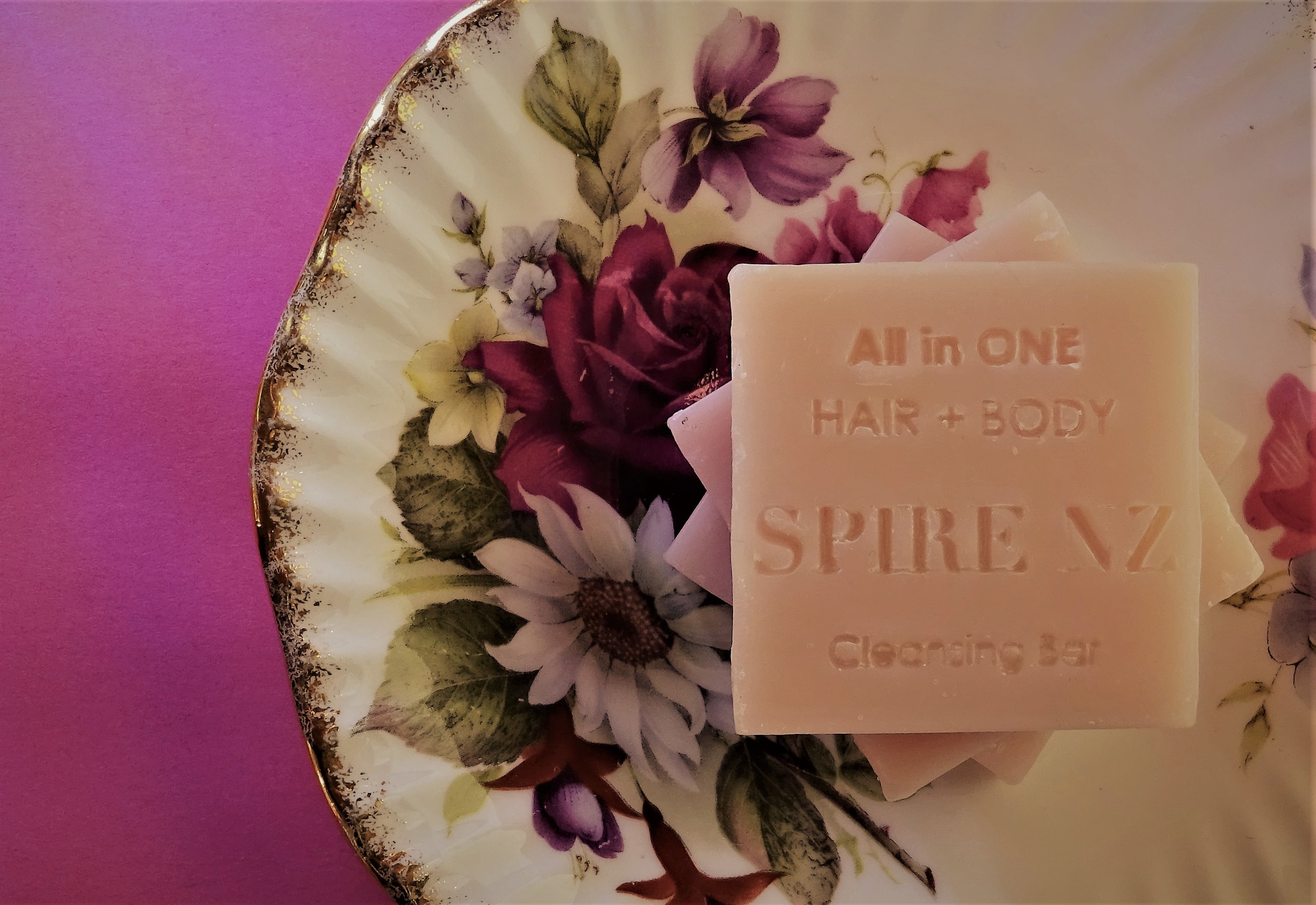 Spire NZ Limited — Travel & Tourism in Dunedin