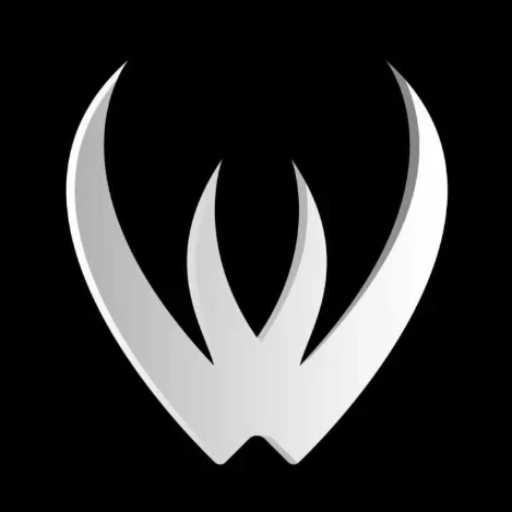 Webduel