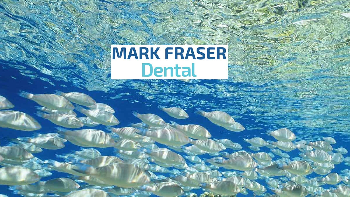 Mark Fraser Dental — Dentists in Kerikeri