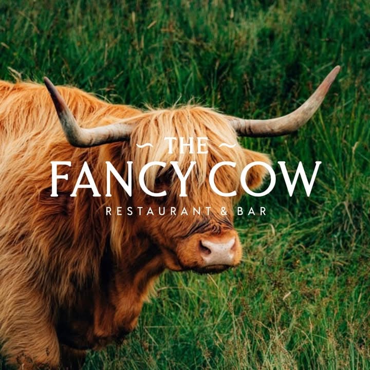 Fancy Cow
