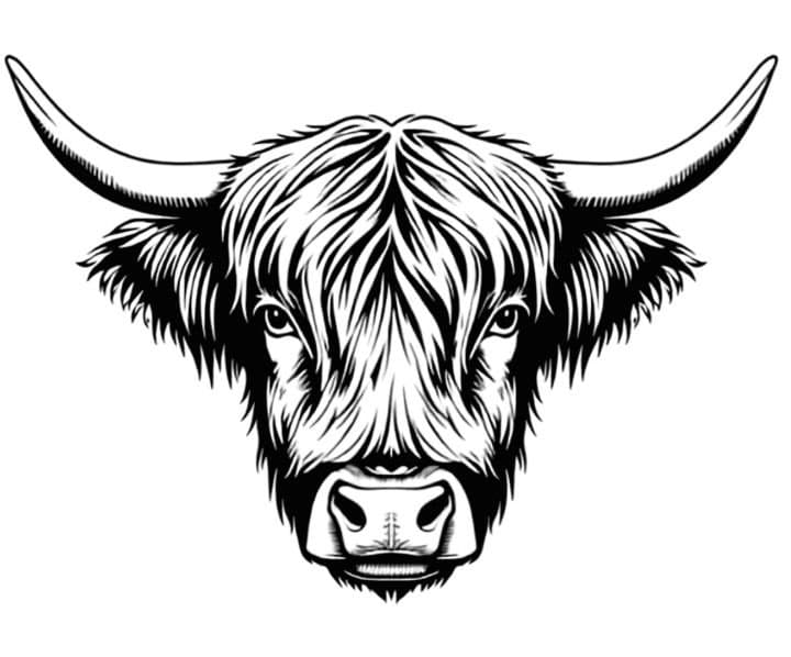 Fancy Cow