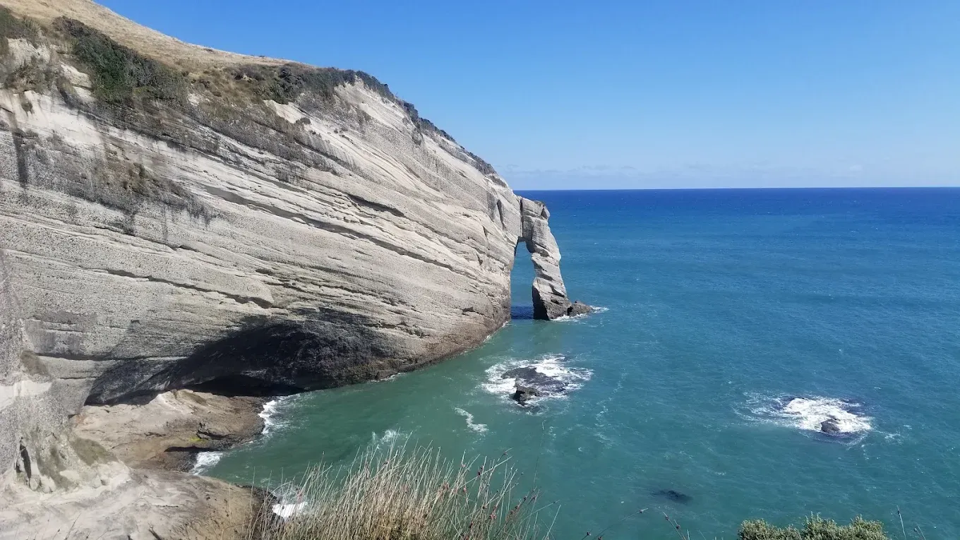 Farewell Spit Eco Tours — Travel & Tourism in Collingwood