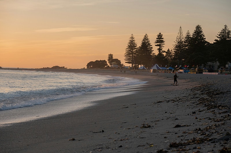 Flyingdolly — Website Designers in Mount Maunganui