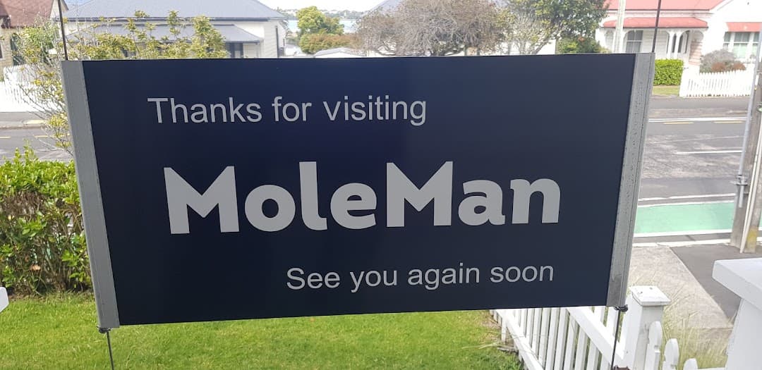 Mole Doctors