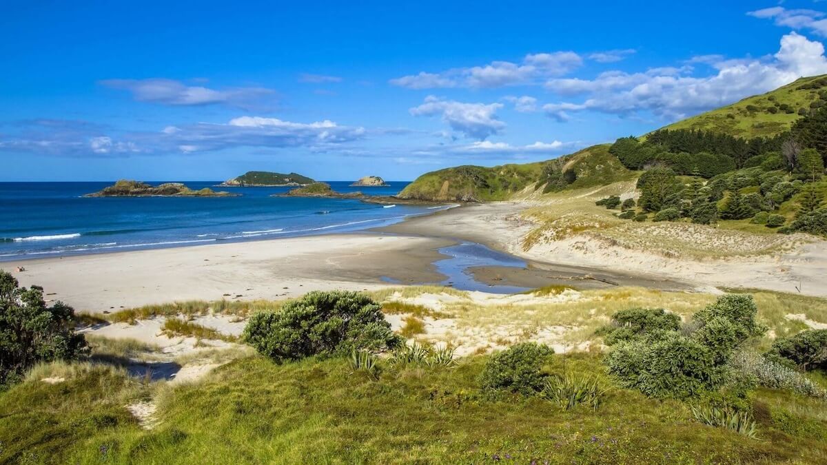 Fox, Dr Richard — Medical Centres in Auckland