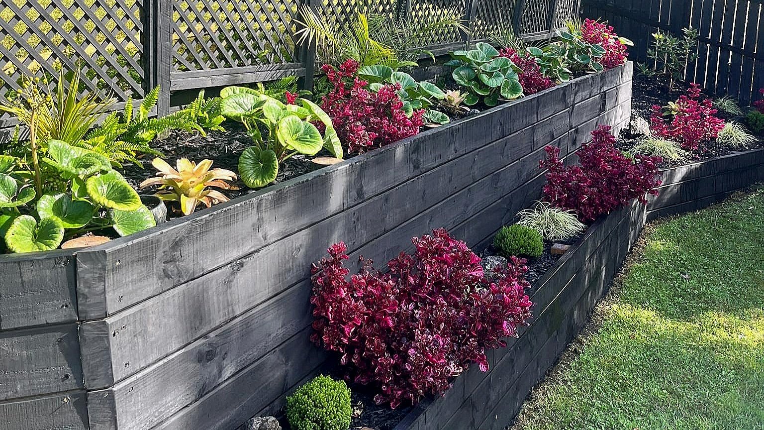 Green Gecko Gardens — Landscaping Services in Auckland
