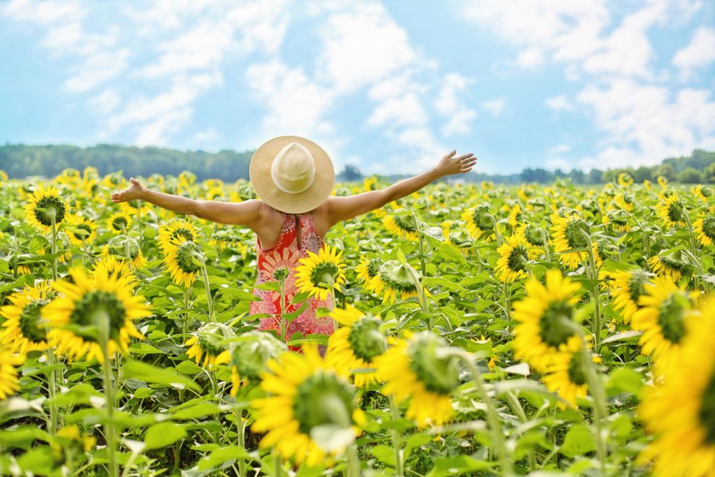 Esthers Homeopathy Clinic — Health & Wellness in Katikati