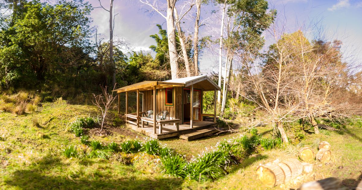 The Tree House — Accommodation in Rawene