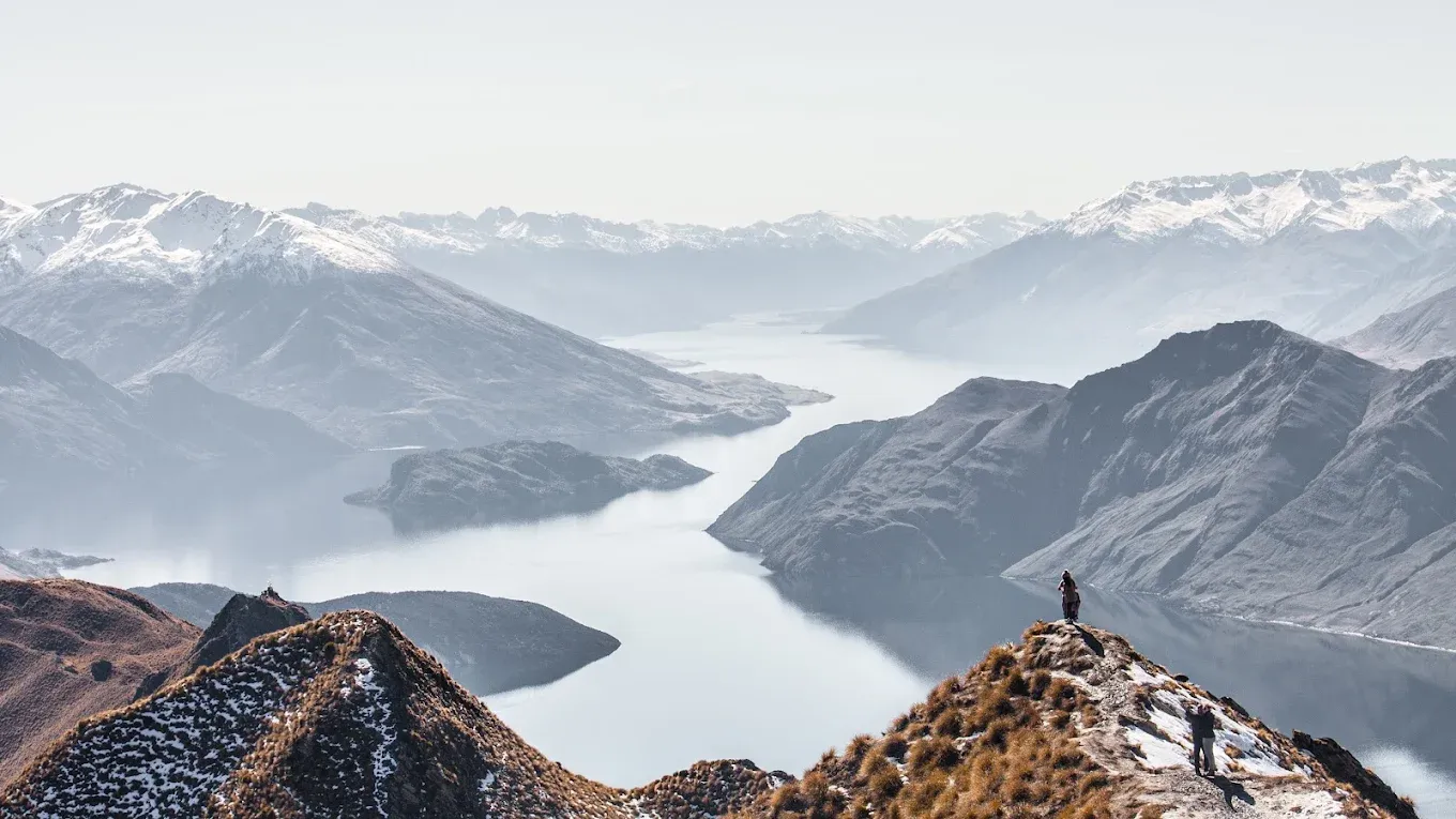 Professional Immigration Services — Immigration Consultants in Christchurch