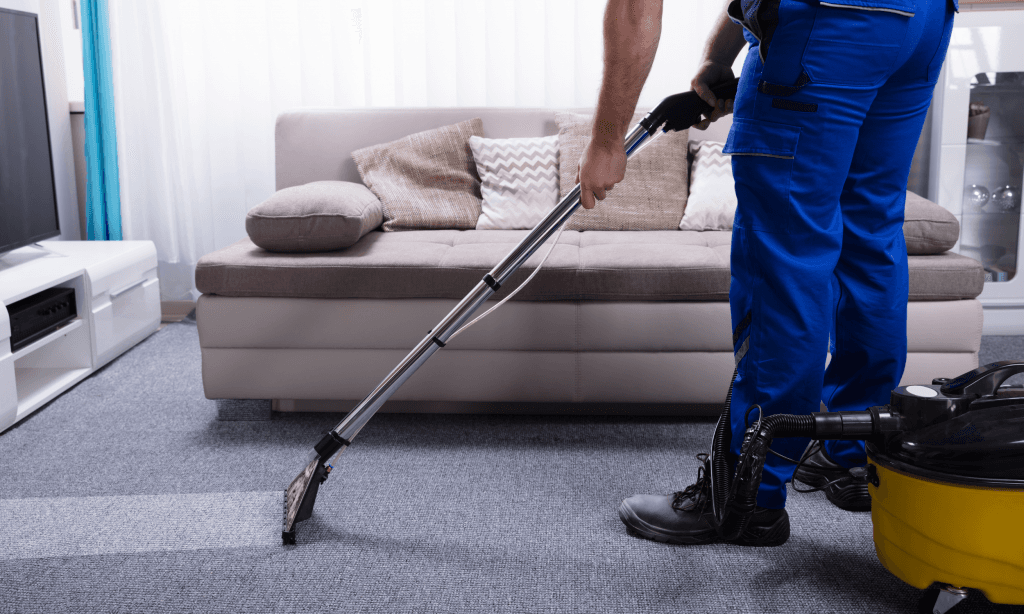 Wellington Carpet Cleaning — Cleaning Services in Wellington