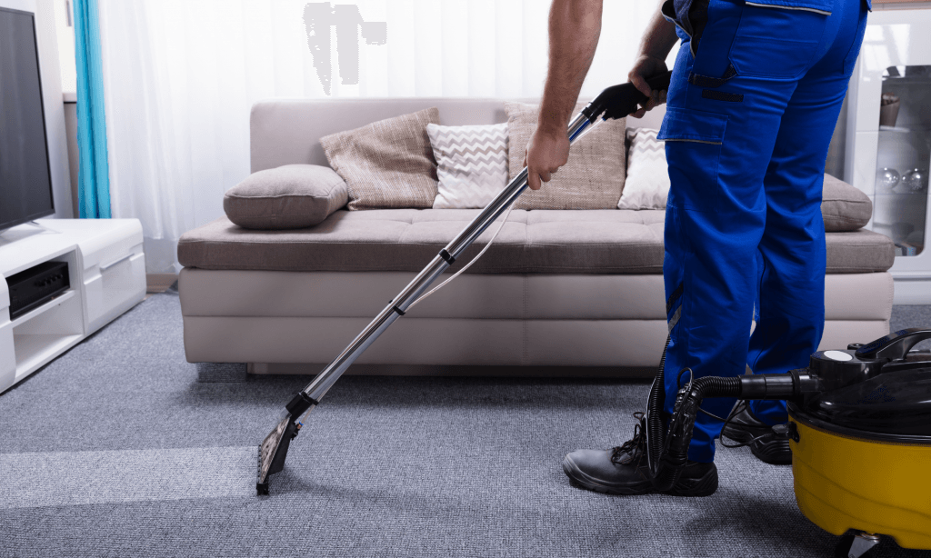 Wellington Carpet Cleaning — Cleaning Services in Wellington
