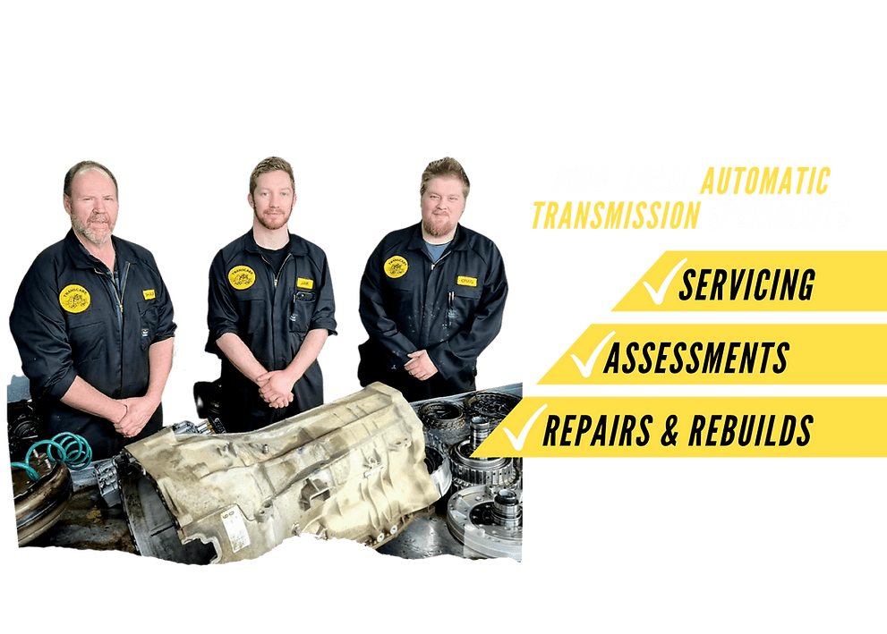 Transcare 2021 Ltd — Professional Services in Invercargill