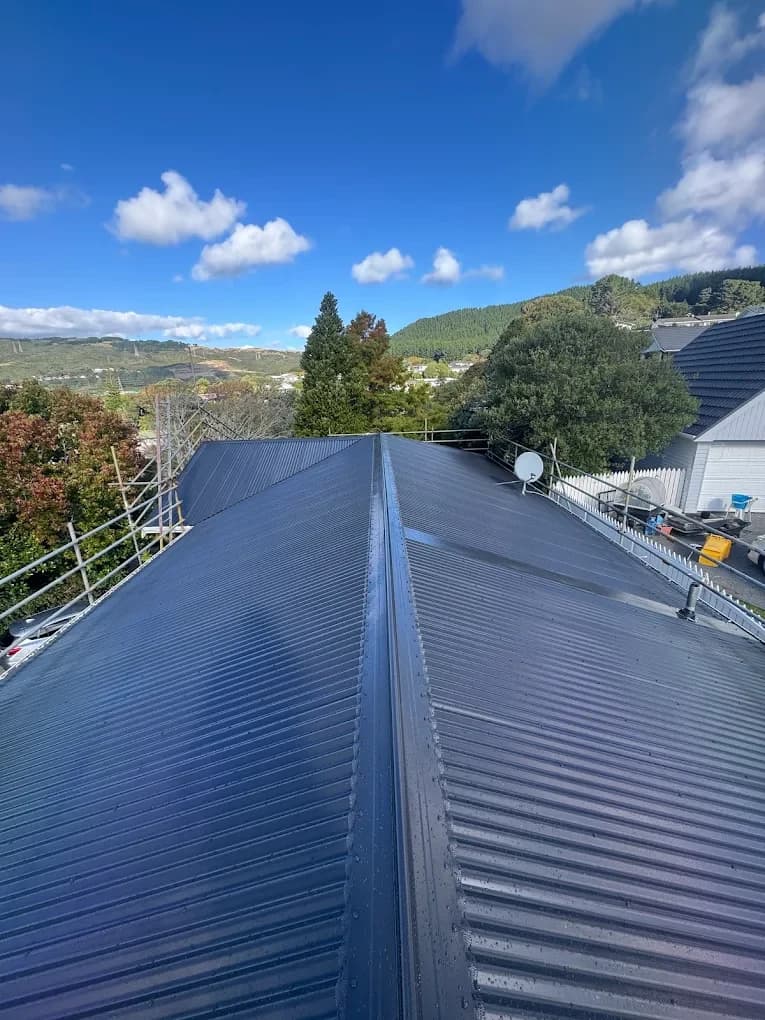 Kings Roofing — Roofing Services in Lower Hutt