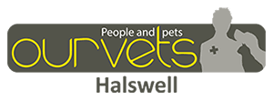 Ourvets Halswell