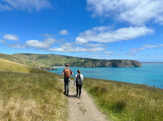 Crater Rim Walks — Travel & Tourism in Lyttelton