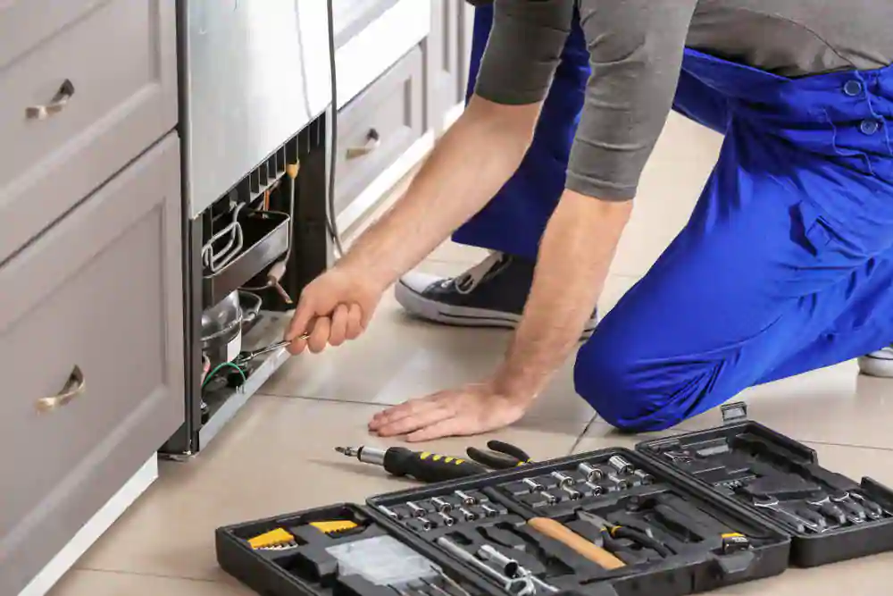 Coastal Electronics — Appliance Repair in Wellington