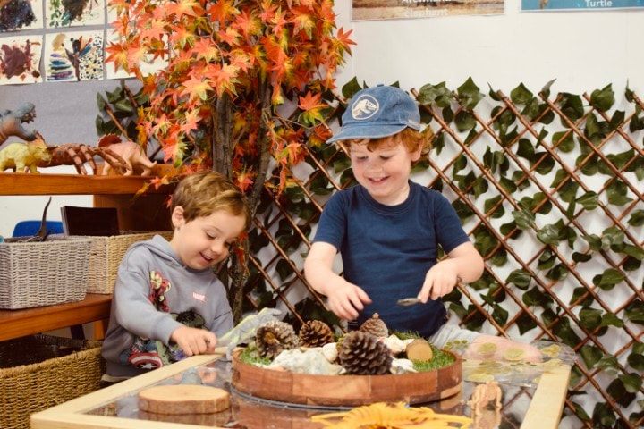 Active Explorers — Childcare Centres in Auckland CBD,