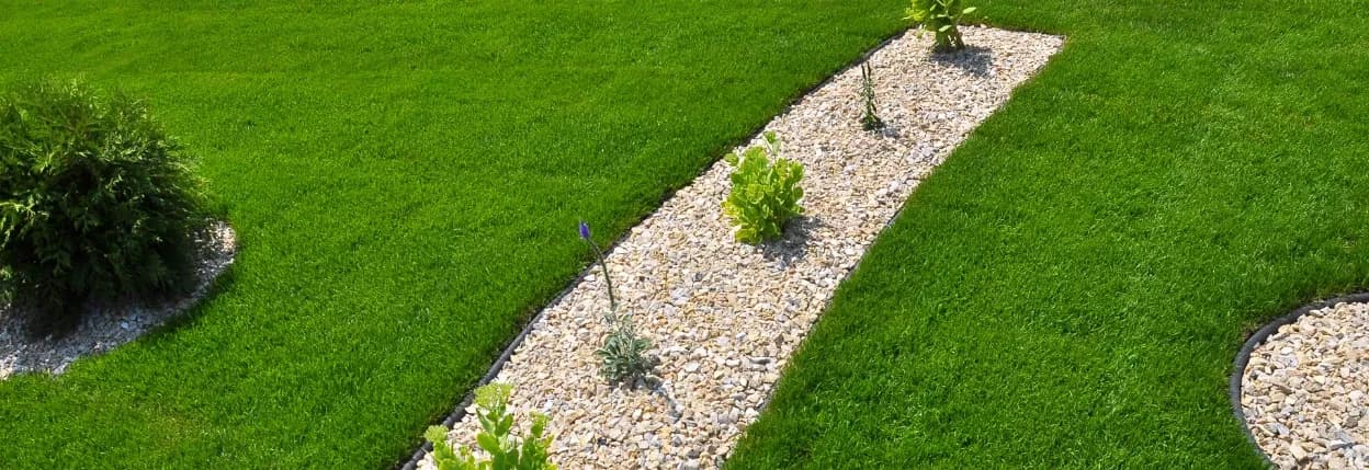 Budget Landscaping — Gardening Services in Sydenham