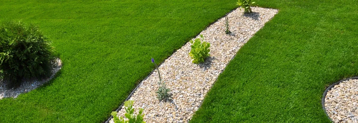 Budget Landscaping — Gardening Services in Sydenham