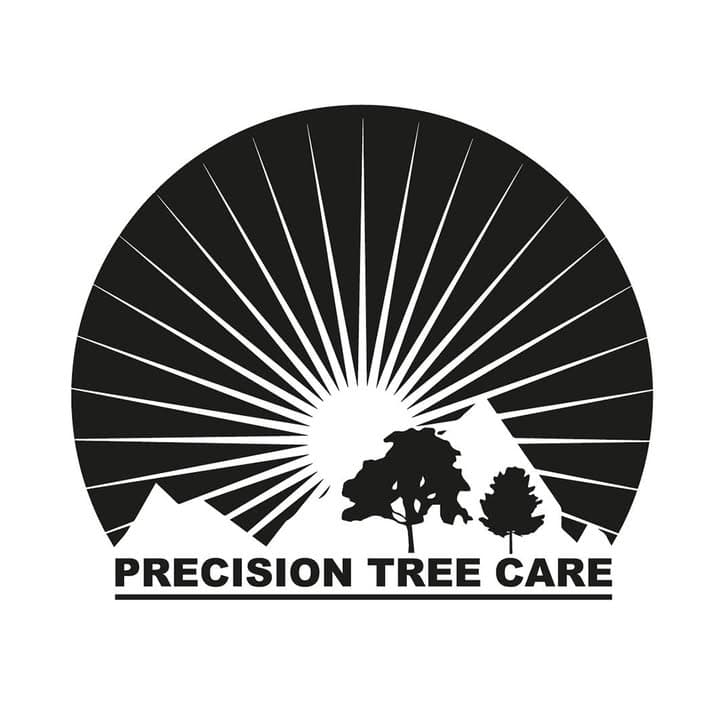 Precision Tree Care