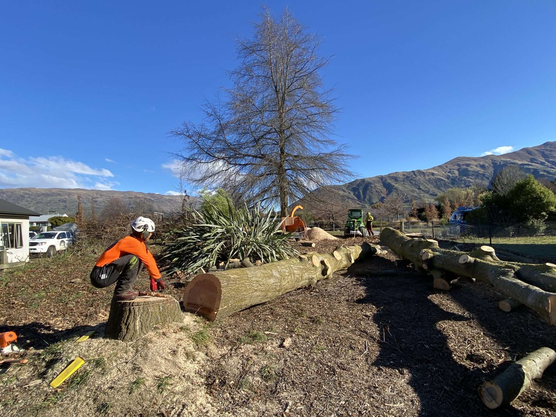 Precision Tree Care — Arborists in Wānaka