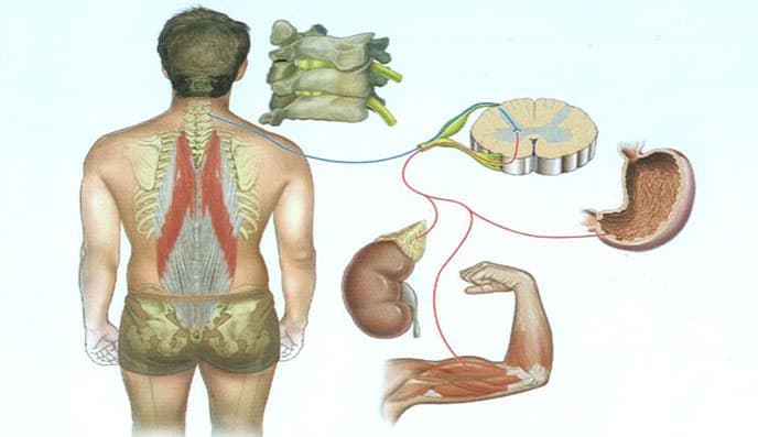 Joint & Muscle Pain Clinic