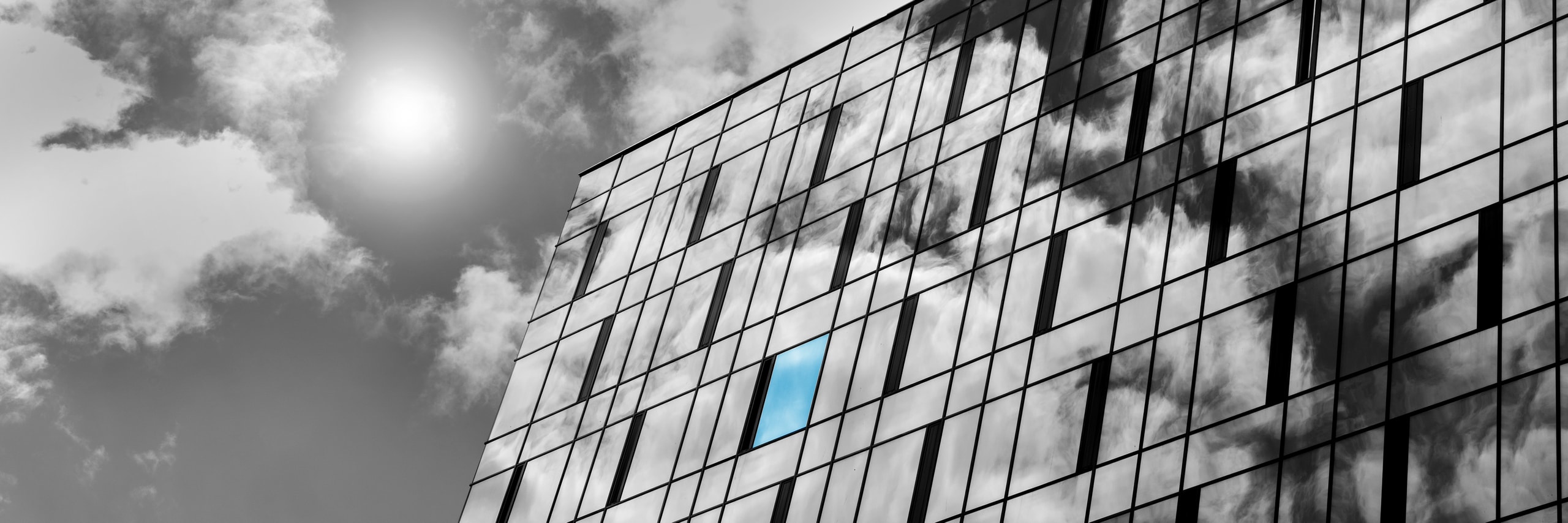 Quantify Consulting Limited — Real Estate Agents in Dunedin