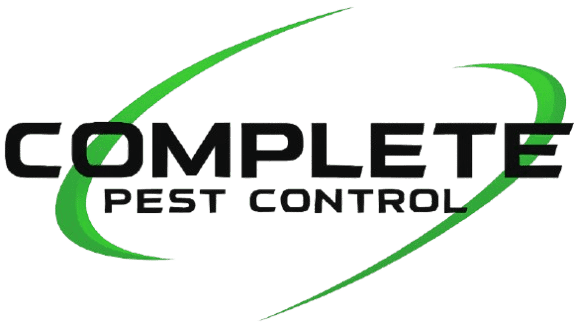 Complete Pest Control — Pest Control Services in Christchurch