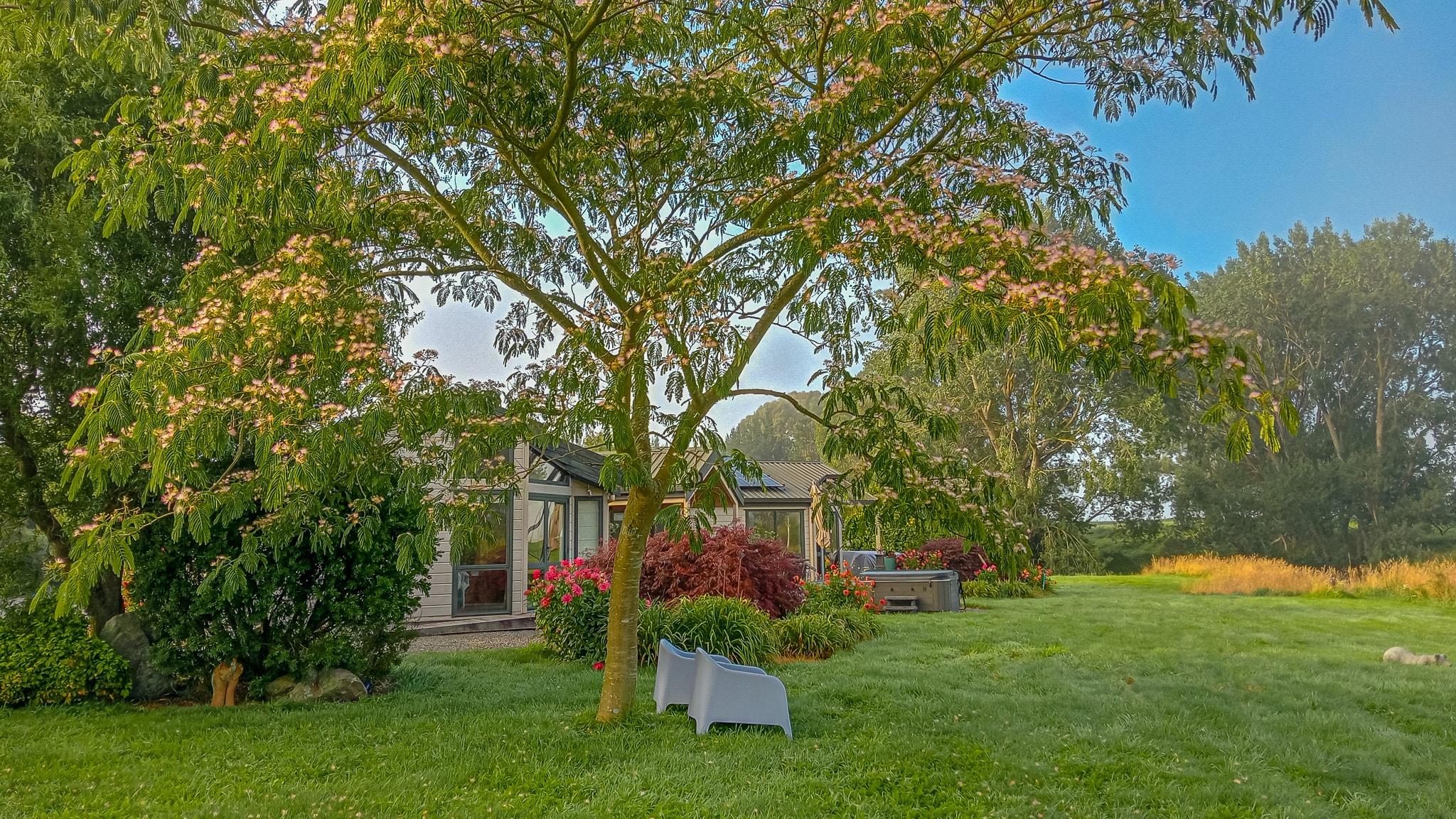 Astelia Lodge — Accommodation in Rotorua