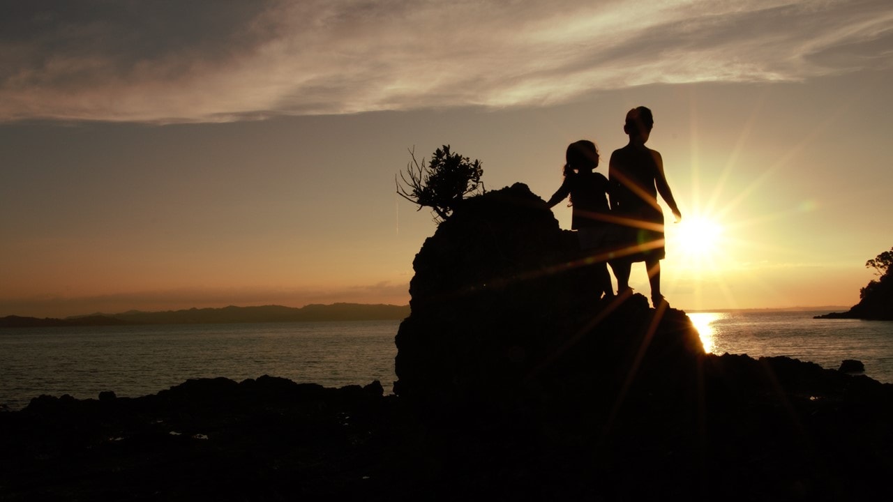 Vanguard Advice — Legal Services in Auckland