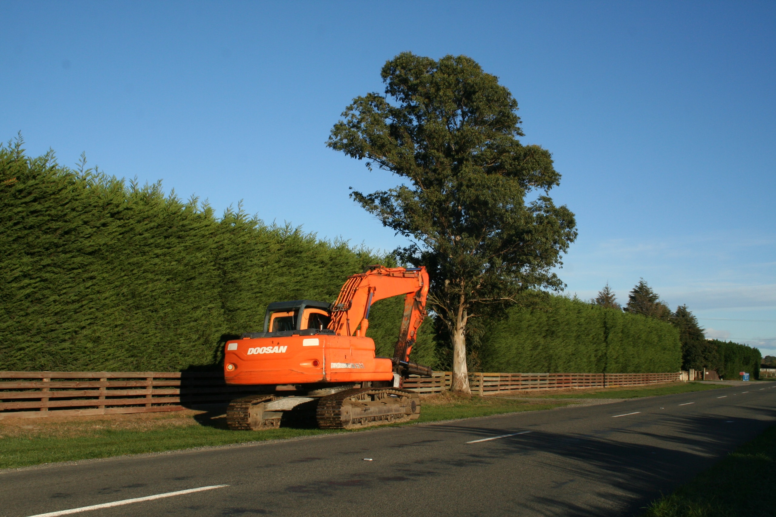 Tree HuggaNZ — Arborists in Waitaha - Canterbury