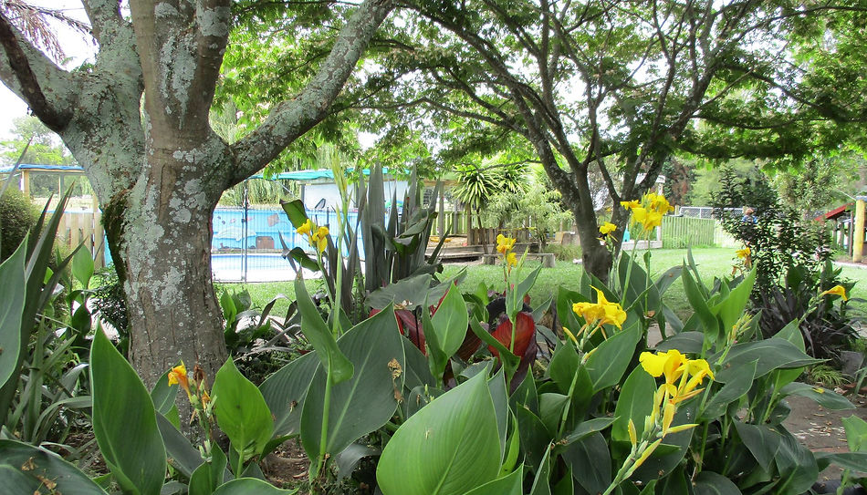 Seedlings Preschool — Childcare Centres in Tauranga