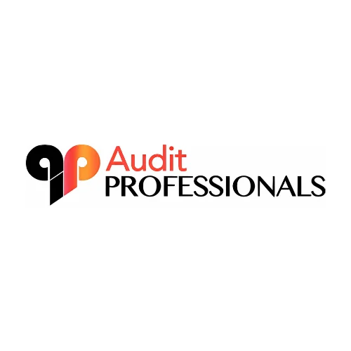 Audit Professionals